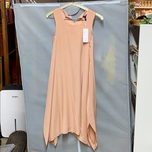 Eileen Fisher Silk Crepe de Chine Dress